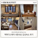 택하다, 스테이 | 택하다, 스테이 ┃ 제주 표선 동쪽, 내돈내산 감성숙소 후기