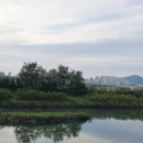 공공자전거대여소 굴포천 이미지