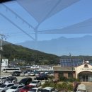 마르아줄 이미지