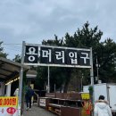 저기.. 자? 진실게임할래? 돌고래 본 적 있어?