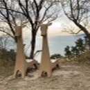장고도5 이미지