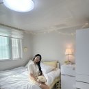 이원룸텔