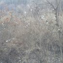 청안농장 이미지