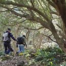 서광리-1 이미지