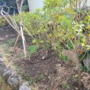 김수미공인중개사사무소 이미지