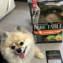 댕댕레시피 | 우리 댕댕이 입맛 사로잡은 퓨어테이블 비건레시피 소프트 사료 강추!