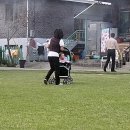 금남멧돼지 이미지