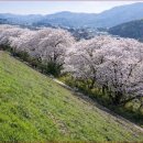 구이저수지 둘레길 이미지