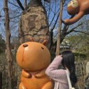 뿌빠노래타운 이미지