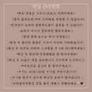 [부천] 1:1 맞춤 시술 신중동 왁싱 뷰티샵 바이릴리 _ 뒷목 왁싱 후기