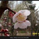 은현어린이집 이미지