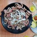 해양곰장어 이미지