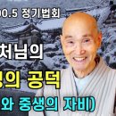 20000507 성륜사 정기법회 보기편한 자막본 이미지