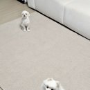 세탁을함께하는사람들 | [리뷰] 에모프 거실러그ㅣ반려견과 함께하는 거실 인테리어의 완성ㅣ먼지 없음, 세탁 가능, 논슬립 완벽...