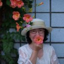 부천능소화(블루라쿤님리딩) 이미지