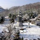 람쥐야 도토리 이미지