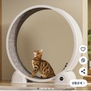 스마트캣 | [리뷰] 테넷 신형 대구경 저소음 캣휠 런닝머신 스마트 거리 측정 캣타워