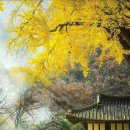 우리 동네 이야기 17 이미지