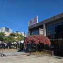 북한산 흑염소 | [고양/흑궁 흑염소] 얼큰 염소탕 후기 — 냄새 없이 진~하고 몸이 바로 뜨거워지는 보양식 맛집
