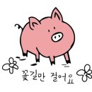 카페해길 이미지