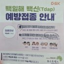 [임신 29~32주차] 임신 후기 증상, 후기 몸무게 변화, 손발붓기, 구렁이같은 태동, 만삭사진, 귀차니즘