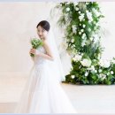 시노그라피스튜디오 | 전주 본식 DVD 시노그라피 상담 후기 실제 경험담과 꿀팁 공개!