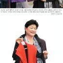 김환콜렉션 이미지