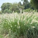 (주)지파크 이미지