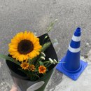 안양여고사거리 이미지