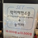두시의앵무새 | [인천 서구] 청라 앵무새카페 리프패럿 방문 후기