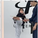 미르태권도장 이미지