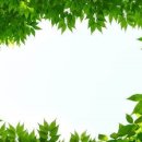 좋은복지 이미지