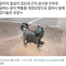 강아지 사랑 이미지