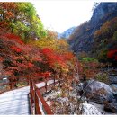 성산교회 앞 버스정류장 이미지