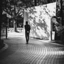 향교, 성모당 - 네이버블로그