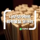 나무와쉬리 이미지