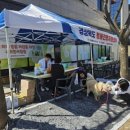 의성동물병원 이미지