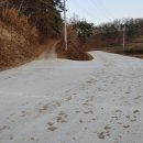 터골농장 이미지