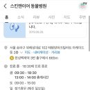 스킨앤이어동물병원 이미지