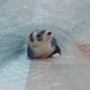 까까PC 이미지