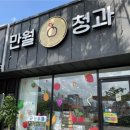 만월청과 이미지