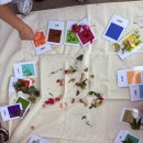 별이 그린 호수 이미지