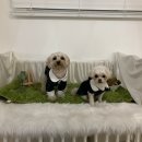 개중목욕탕 이미지