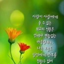 인생은 결국 혼자서 가는 길 이미지