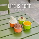 디저트이즈(is)설렘 | 유기농 우유로 만든 아이스크림 강릉 신라모노그램 맛집, 라이프이즈소프트