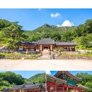 영현목장 이미지