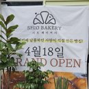 완산-56 | 소금빵이 맛있는 전주 효자동 시오베이커리