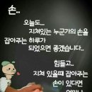 콩의 효능 혈관 튼튼 갱년기 호르몬 조절 이미지