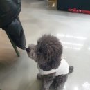 Y537호텔 네이버블로그