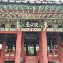 CU강릉관동점 | 둘이서 강릉 1박2일 2일차 - 07. 경포대, 경포호 자전거 대여